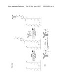 FUNCTIONALIZATION OF AND USE OF FUNCTIONALIZED SECOND HARMONIC GENERATING     NANOPROBES diagram and image