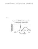 FUNCTIONALIZATION OF AND USE OF FUNCTIONALIZED SECOND HARMONIC GENERATING     NANOPROBES diagram and image