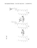 FUNCTIONALIZATION OF AND USE OF FUNCTIONALIZED SECOND HARMONIC GENERATING     NANOPROBES diagram and image