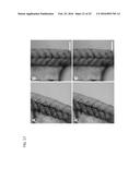 FUNCTIONALIZATION OF AND USE OF FUNCTIONALIZED SECOND HARMONIC GENERATING     NANOPROBES diagram and image