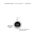 Metal Oxide Nanoparticle-Based T1-T2 Dual-Mode Magnetic Resonance Imaging     Contrast Agent diagram and image