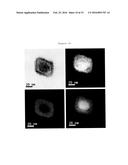 Metal Oxide Nanoparticle-Based T1-T2 Dual-Mode Magnetic Resonance Imaging     Contrast Agent diagram and image