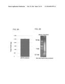 NUCLEIC ACID SAMPLE PREPARATION METHODS AND COMPOSITIONS diagram and image