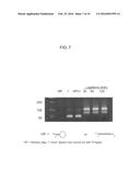 NUCLEIC ACID SAMPLE PREPARATION METHODS AND COMPOSITIONS diagram and image