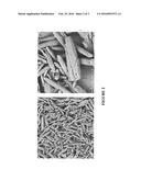 Zeolite ZSM-18, Its Synthesis and Its Use diagram and image