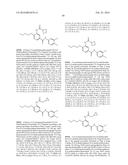 3-AMIDOBENZAMIDES AND USES THEREOF FOR INCREASING CELLULAR LEVELS OF A3G     AND OTHER A3 FAMILY MEMBERS diagram and image