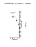 SMALL MOLECULE MEDIATED TRANSCRIPTIONAL INDUCTION OF E-CADHERIN diagram and image