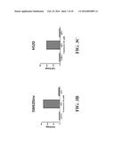 SMALL MOLECULE MEDIATED TRANSCRIPTIONAL INDUCTION OF E-CADHERIN diagram and image