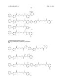 SMALL MOLECULE MEDIATED TRANSCRIPTIONAL INDUCTION OF E-CADHERIN diagram and image