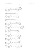 SMALL MOLECULE MEDIATED TRANSCRIPTIONAL INDUCTION OF E-CADHERIN diagram and image