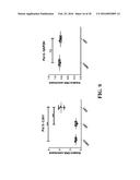 SMALL MOLECULE MEDIATED TRANSCRIPTIONAL INDUCTION OF E-CADHERIN diagram and image