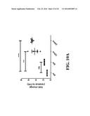 SMALL MOLECULE MEDIATED TRANSCRIPTIONAL INDUCTION OF E-CADHERIN diagram and image