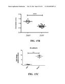 SMALL MOLECULE MEDIATED TRANSCRIPTIONAL INDUCTION OF E-CADHERIN diagram and image