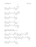 SMALL MOLECULE MEDIATED TRANSCRIPTIONAL INDUCTION OF E-CADHERIN diagram and image