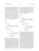 MACROLIDES AND METHODS OF THEIR PREPARATION AND USE diagram and image