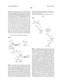 MACROLIDES AND METHODS OF THEIR PREPARATION AND USE diagram and image