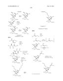 MACROLIDES AND METHODS OF THEIR PREPARATION AND USE diagram and image