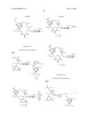 MACROLIDES AND METHODS OF THEIR PREPARATION AND USE diagram and image