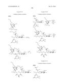 MACROLIDES AND METHODS OF THEIR PREPARATION AND USE diagram and image