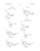 MACROLIDES AND METHODS OF THEIR PREPARATION AND USE diagram and image