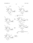 MACROLIDES AND METHODS OF THEIR PREPARATION AND USE diagram and image