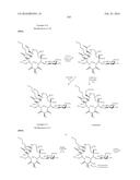 MACROLIDES AND METHODS OF THEIR PREPARATION AND USE diagram and image