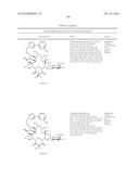 MACROLIDES AND METHODS OF THEIR PREPARATION AND USE diagram and image