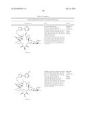 MACROLIDES AND METHODS OF THEIR PREPARATION AND USE diagram and image