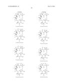 MACROLIDES AND METHODS OF THEIR PREPARATION AND USE diagram and image