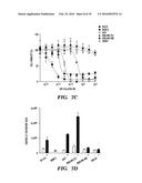 MODIFIED MICROBIAL TOXIN RECEPTOR FOR DELIVERING AGENTS INTO CELLS diagram and image