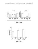 MODIFIED MICROBIAL TOXIN RECEPTOR FOR DELIVERING AGENTS INTO CELLS diagram and image