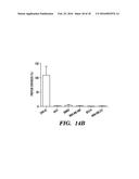 MODIFIED MICROBIAL TOXIN RECEPTOR FOR DELIVERING AGENTS INTO CELLS diagram and image