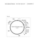 COMPOSITION COMPRISING AT LEAST TWO INFLUENZA A VIRUS-NEUTRALIZING-BINDING     MOLECULES diagram and image