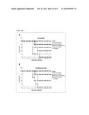 COMPOSITION COMPRISING AT LEAST TWO INFLUENZA A VIRUS-NEUTRALIZING-BINDING     MOLECULES diagram and image