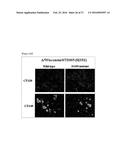 COMPOSITION COMPRISING AT LEAST TWO INFLUENZA A VIRUS-NEUTRALIZING-BINDING     MOLECULES diagram and image