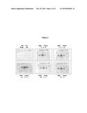 DIAGNOSTIC ANTIBODY ASSAY diagram and image