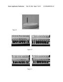 METHODS OF CELL SEPARATION diagram and image