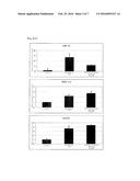 AGENT FOR INDUCING DIFFERENTIATION OF WHITE ADIPOCYTES INTO BROWN-LIKE     ADIPOCYTES diagram and image