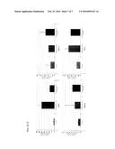 AGENT FOR INDUCING DIFFERENTIATION OF WHITE ADIPOCYTES INTO BROWN-LIKE     ADIPOCYTES diagram and image