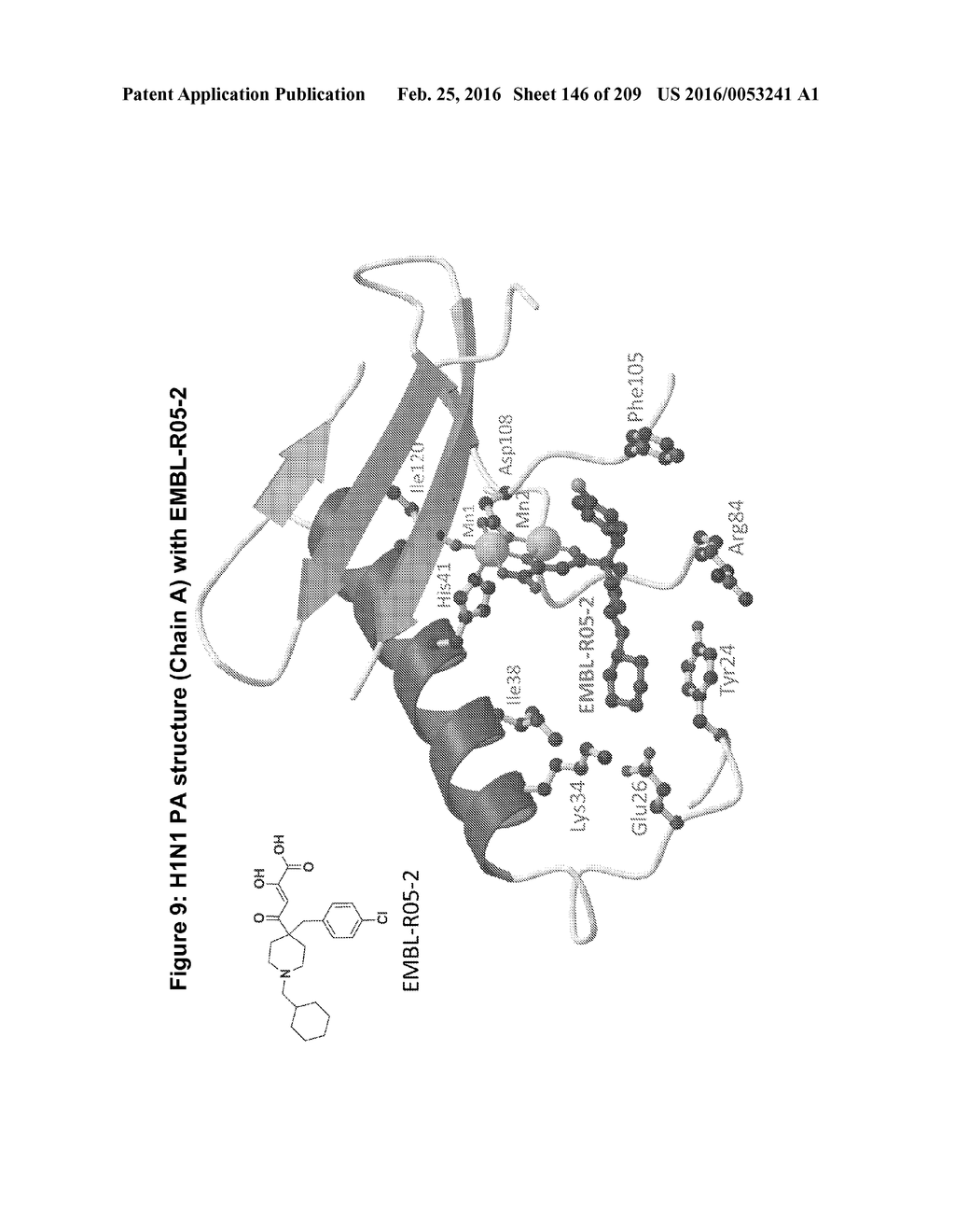 INFLUENZA  A 2009 PANDEMIC H1N1 POLYPEPTIDE FRAGMENTS COMPRISING     ENDONUCLEASE ACTIVITY AND THEIR USE - diagram, schematic, and image 147