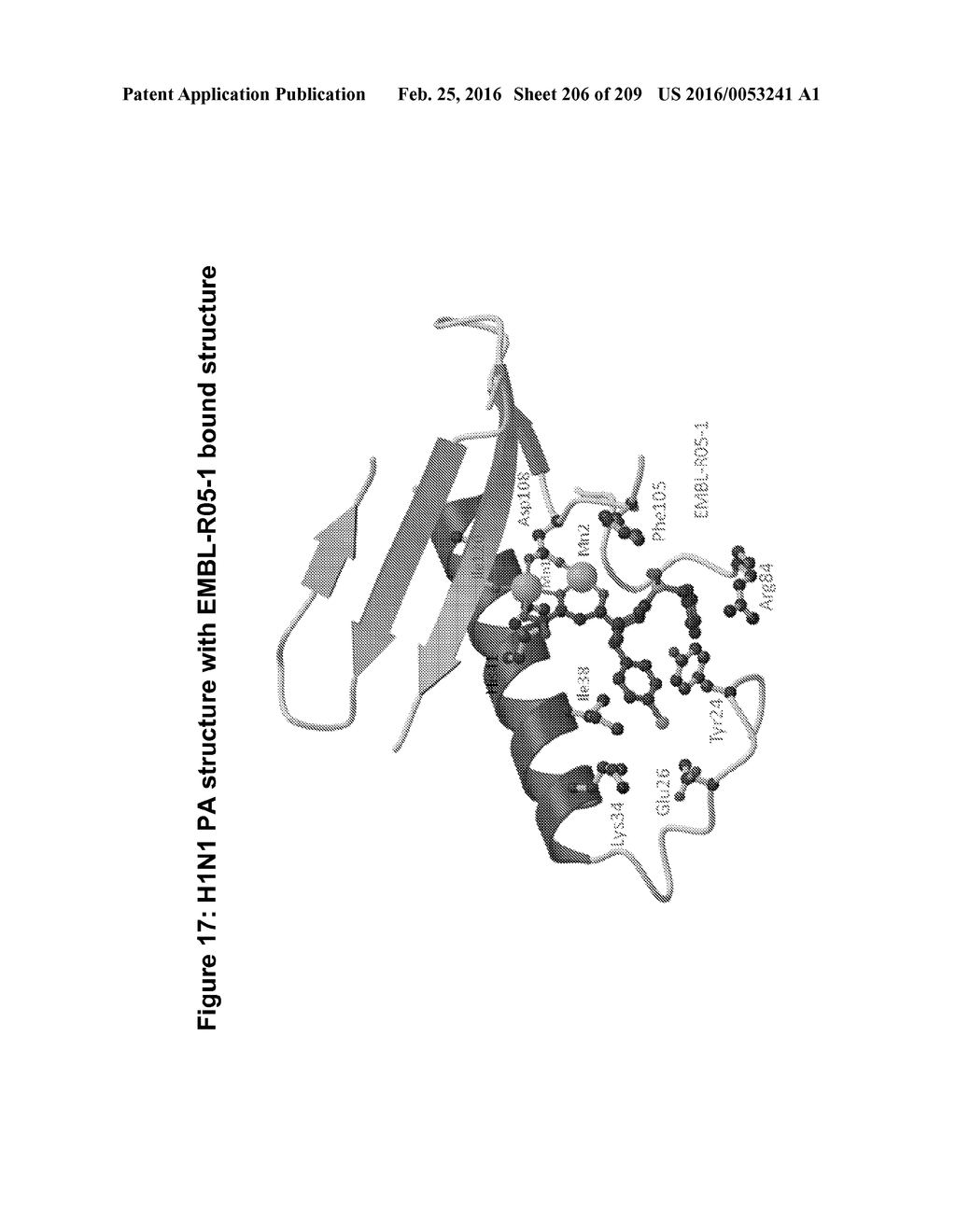 INFLUENZA  A 2009 PANDEMIC H1N1 POLYPEPTIDE FRAGMENTS COMPRISING     ENDONUCLEASE ACTIVITY AND THEIR USE - diagram, schematic, and image 207