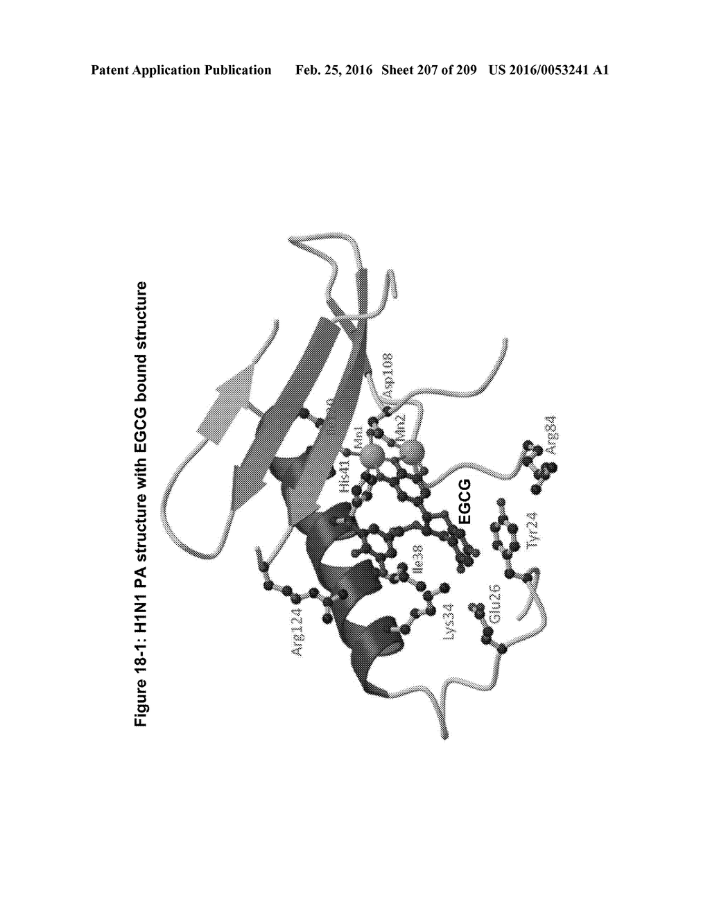 INFLUENZA  A 2009 PANDEMIC H1N1 POLYPEPTIDE FRAGMENTS COMPRISING     ENDONUCLEASE ACTIVITY AND THEIR USE - diagram, schematic, and image 208