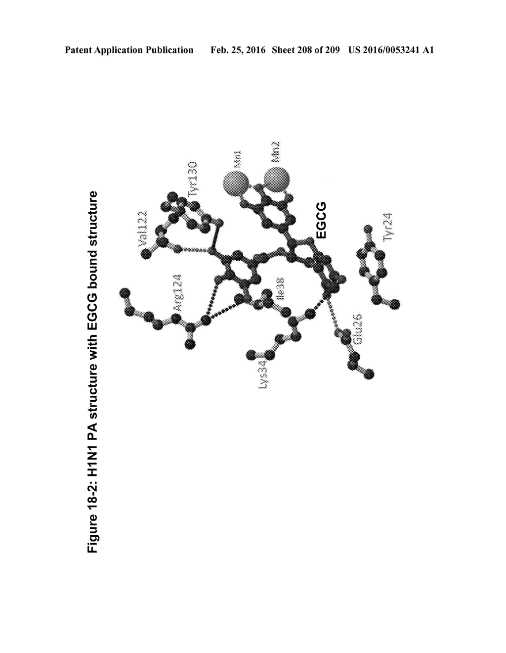 INFLUENZA  A 2009 PANDEMIC H1N1 POLYPEPTIDE FRAGMENTS COMPRISING     ENDONUCLEASE ACTIVITY AND THEIR USE - diagram, schematic, and image 209