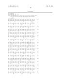 INFLUENZA  A 2009 PANDEMIC H1N1 POLYPEPTIDE FRAGMENTS COMPRISING     ENDONUCLEASE ACTIVITY AND THEIR USE diagram and image