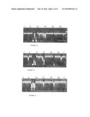 THERMOSTABLE NUCLEASE diagram and image