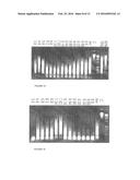 THERMOSTABLE NUCLEASE diagram and image