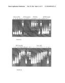 THERMOSTABLE NUCLEASE diagram and image