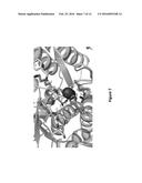 SYSTEMS AND METHODS FOR EVOLVING ENZYMES WITH DESIRED ACTIVITIES diagram and image