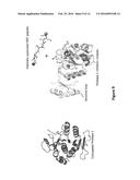 SYSTEMS AND METHODS FOR EVOLVING ENZYMES WITH DESIRED ACTIVITIES diagram and image