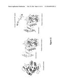 SYSTEMS AND METHODS FOR EVOLVING ENZYMES WITH DESIRED ACTIVITIES diagram and image